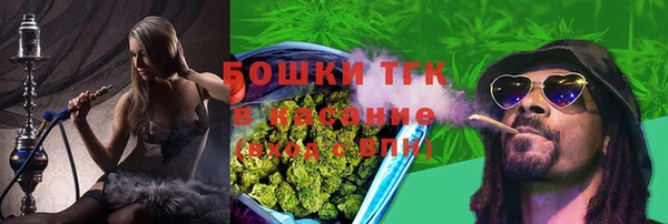 эйфоретик Няндома