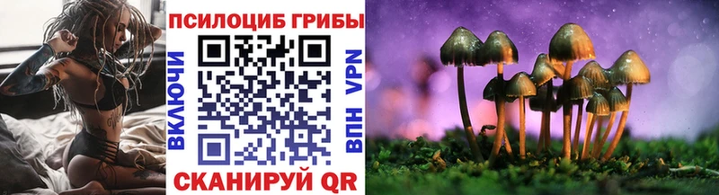 Галлюциногенные грибы Cubensis  где купить   Кудрово 