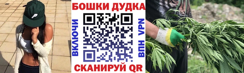 Бошки Шишки MAZAR Кудрово